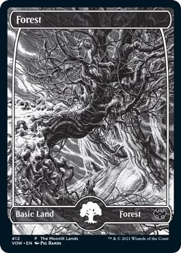 Forest (Moonlit Land) (Foil Etched) card image