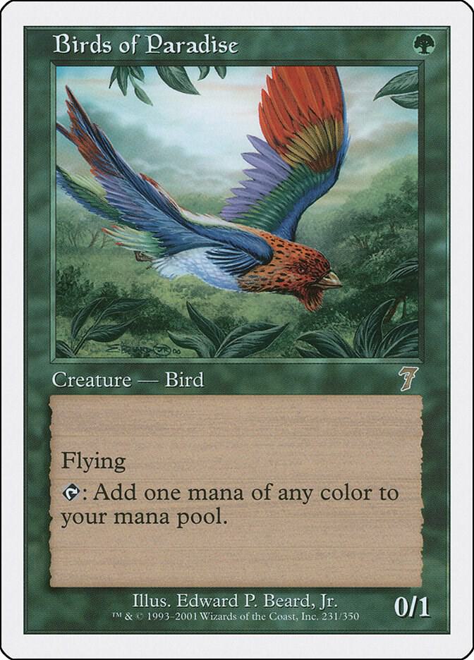 Birds of Paradise card image