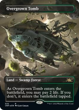 Overgrown Tomb (Borderless) (Galaxy Foil) card image