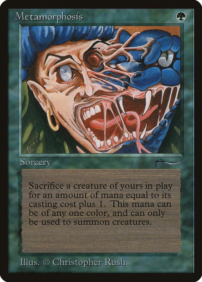 Metamorphosis card image