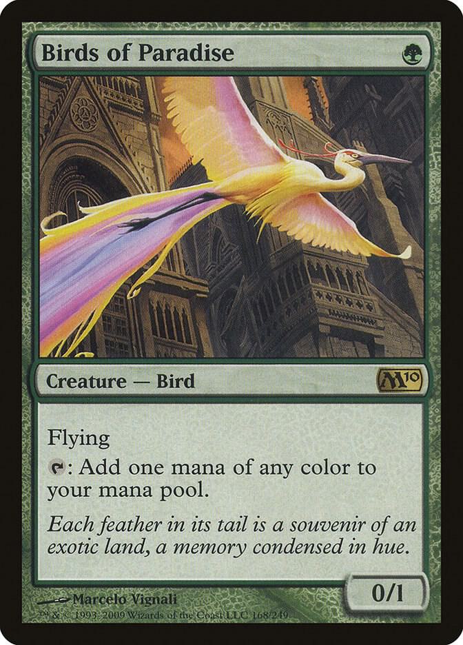 Birds of Paradise card image