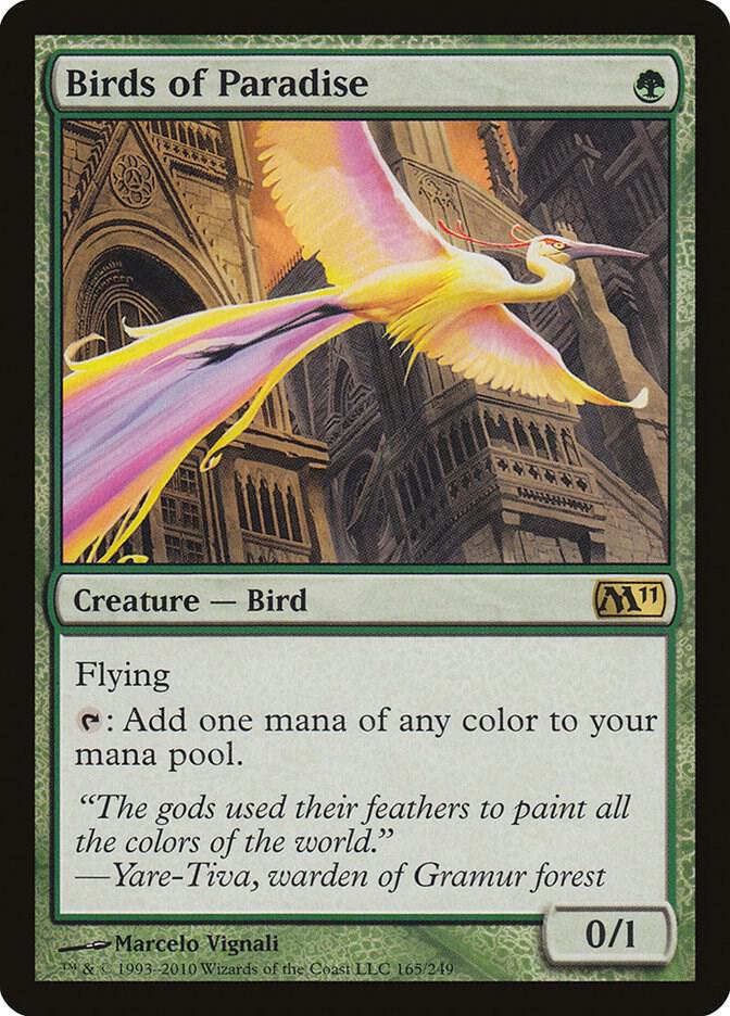 Birds of Paradise card image