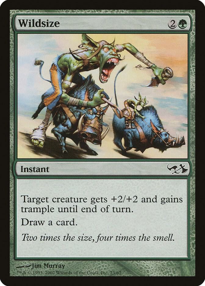Wildsize card image