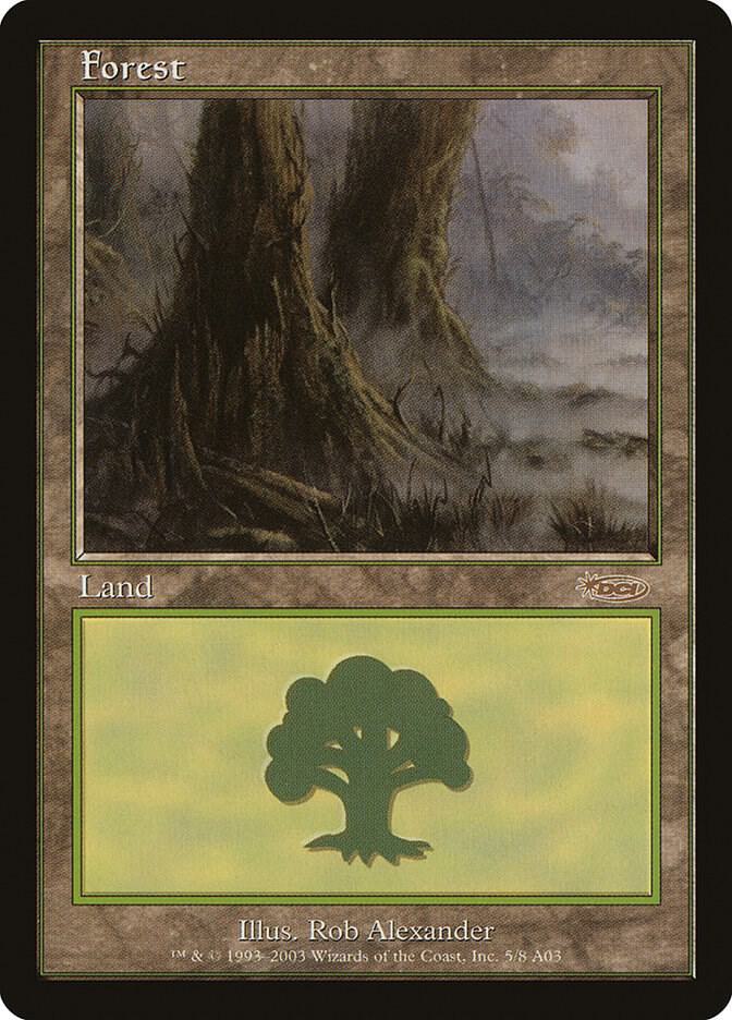 Forest (2003) card image