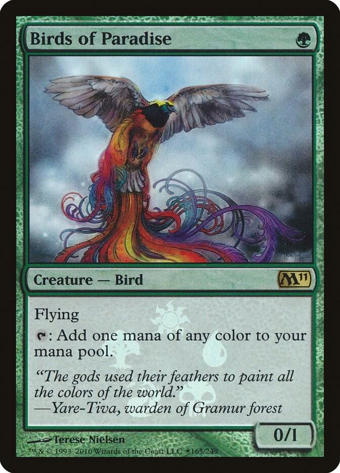 Birds of Paradise card image