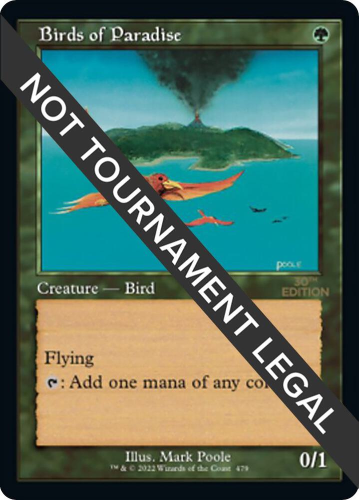 Birds of Paradise (Retro Frame) card image