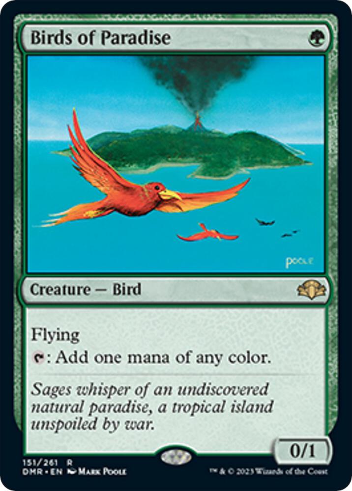 Birds of Paradise card image