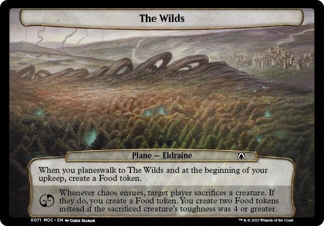 The Wilds card image