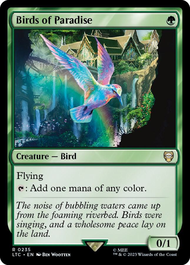 Birds of Paradise card image
