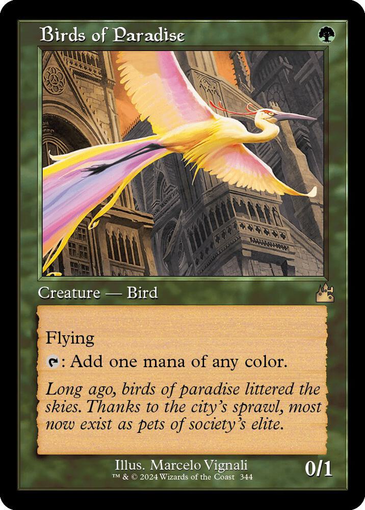 Birds of Paradise (Retro Frame) card image