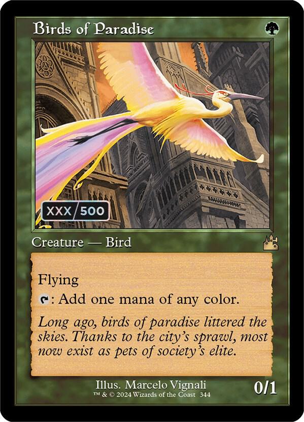 Birds of Paradise (Retro Frame) (Serial Numbered) card image