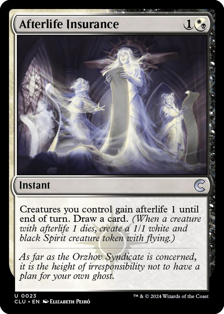 Afterlife Insurance card image