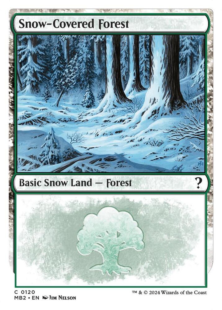Snow-Covered Forest (White Border) card image