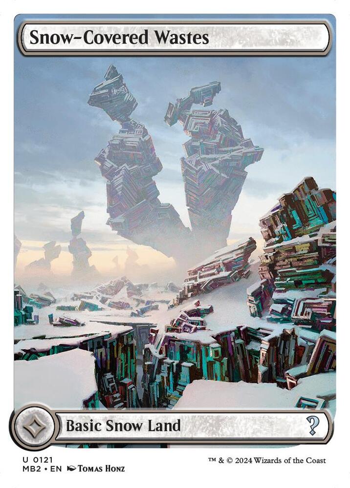 Snow-Covered Wastes (White Border) card image