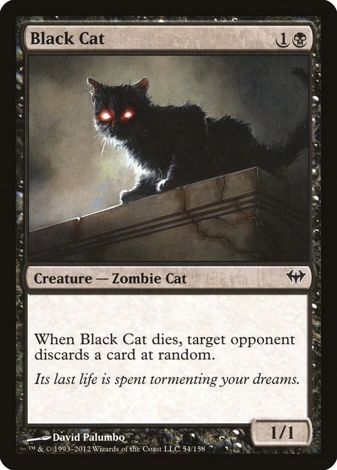 Black Cat card image