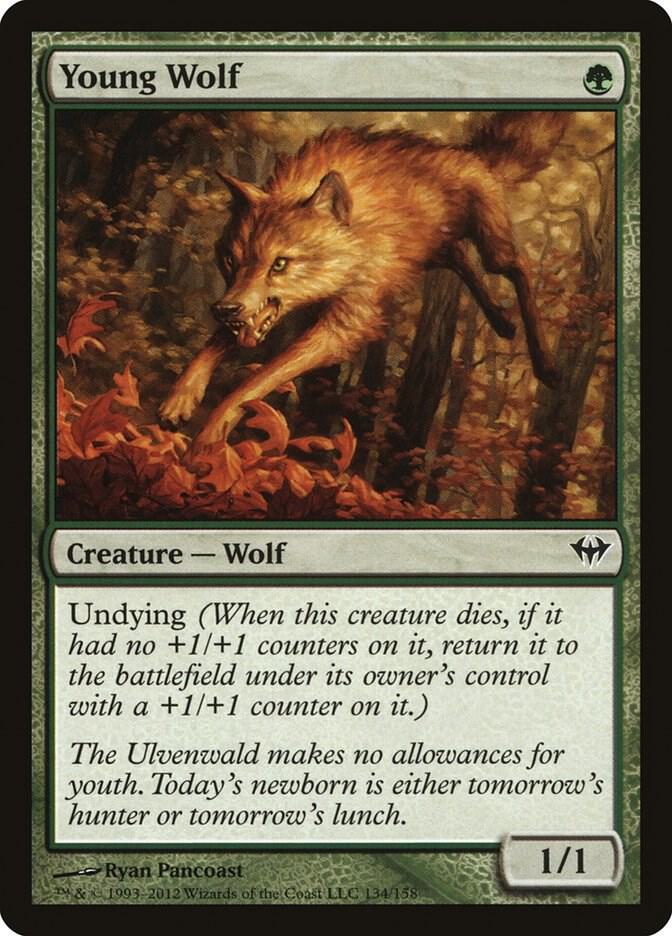 Young Wolf card image