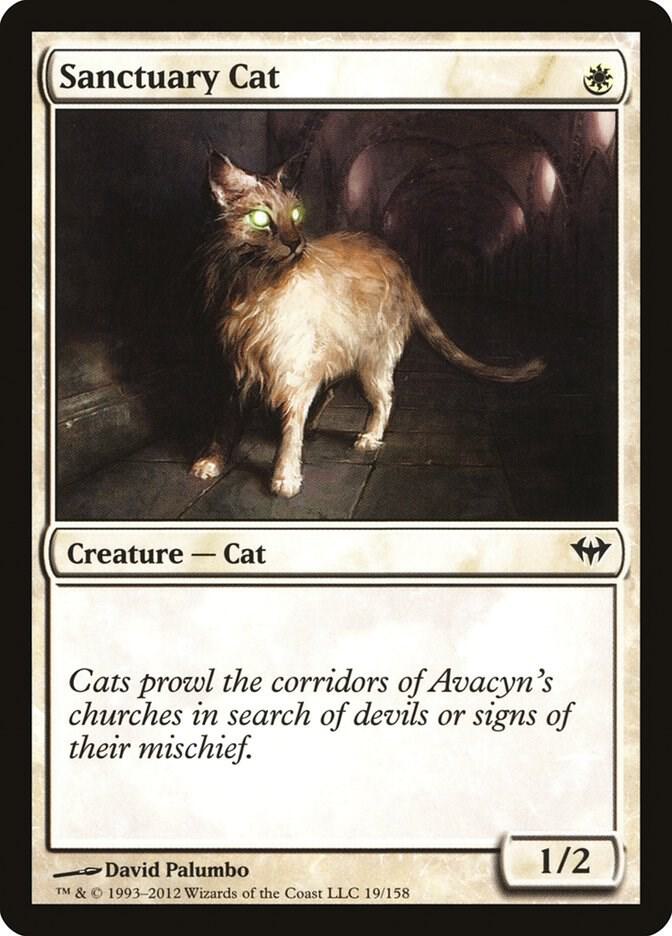 Sanctuary Cat card image