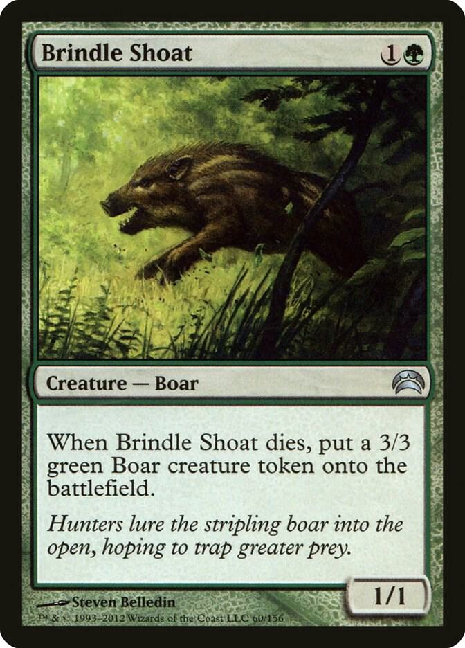 Brindle Shoat card image