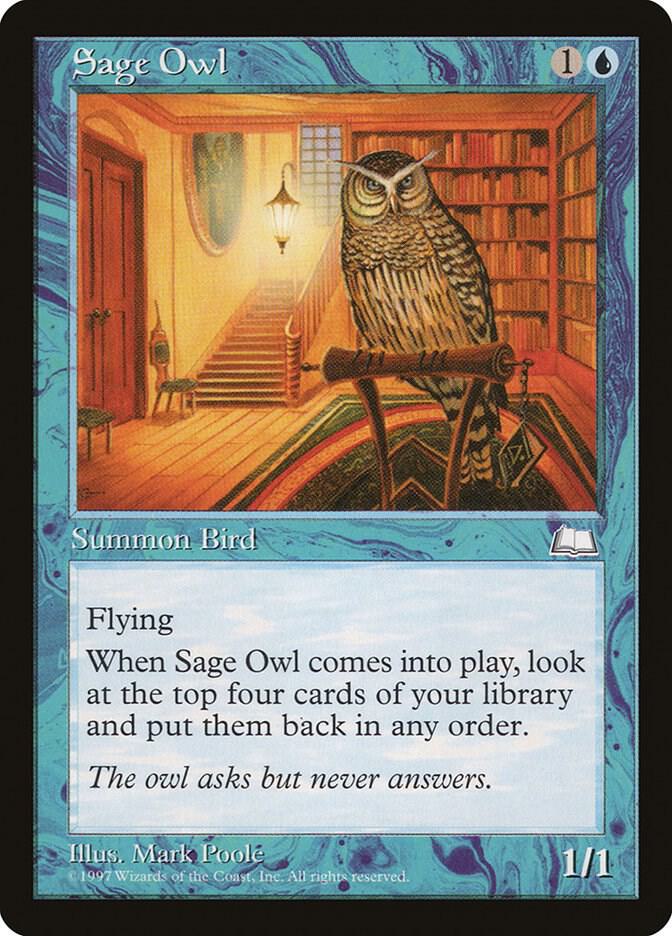 Sage Owl card image