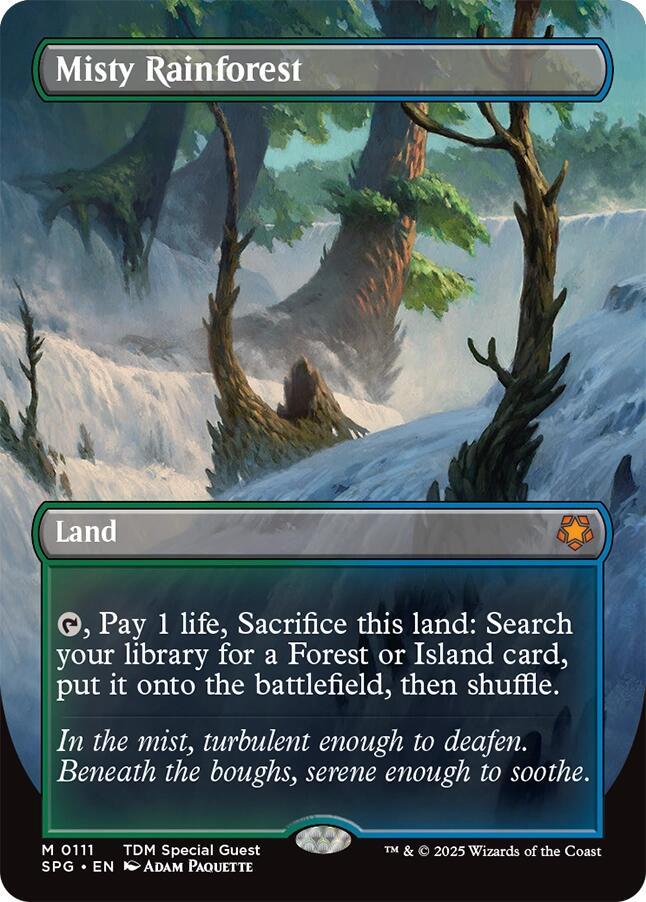 Misty Rainforest (Borderless) card image