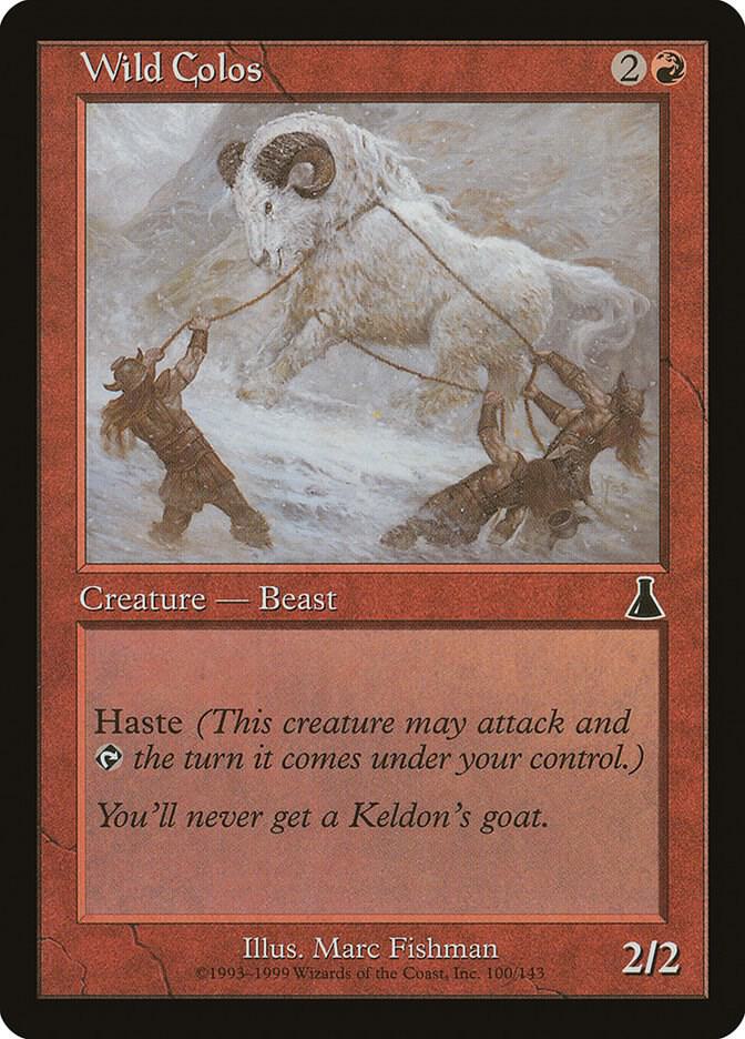 Wild Colos card image