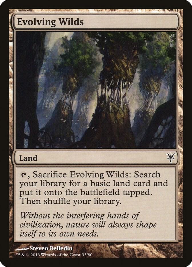 Evolving Wilds card image