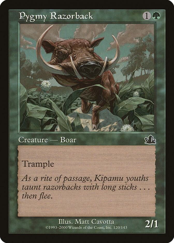 Pygmy Razorback card image