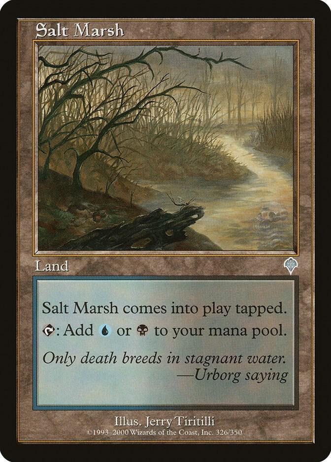Salt Marsh card image