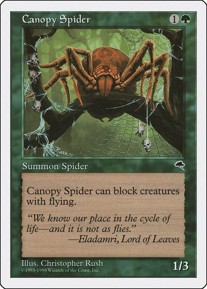 Canopy Spider card image