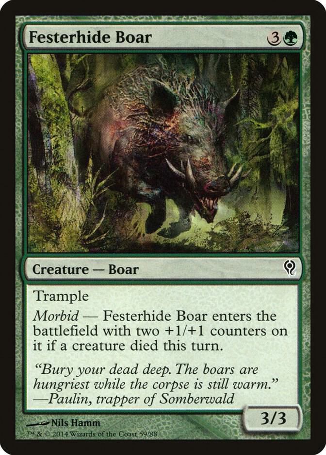 Festerhide Boar card image
