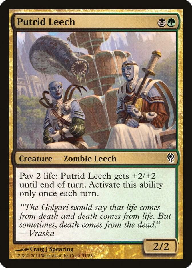 Putrid Leech card image