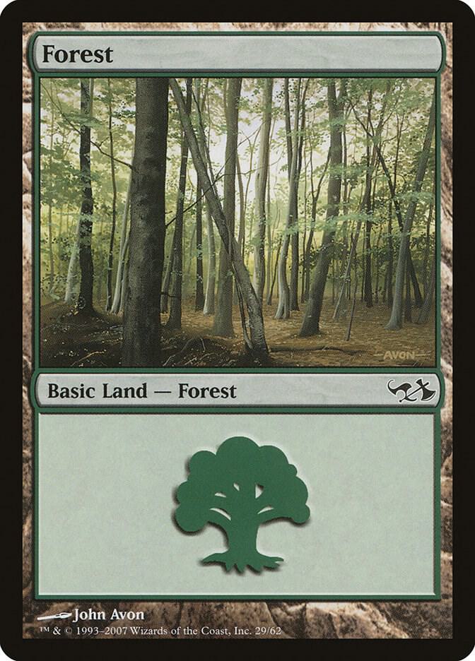 Forest (29) card image