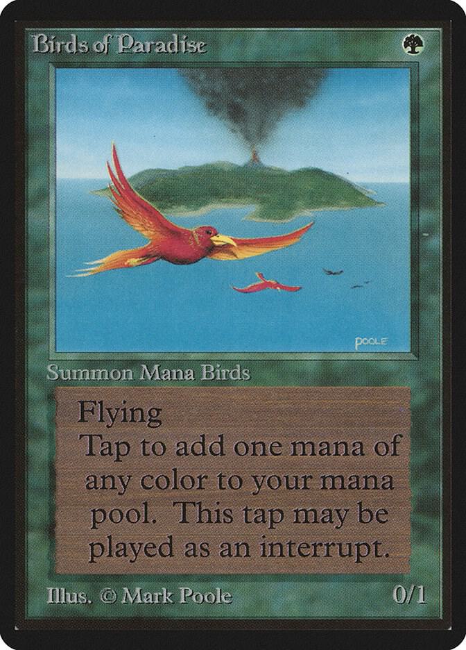 Birds of Paradise card image