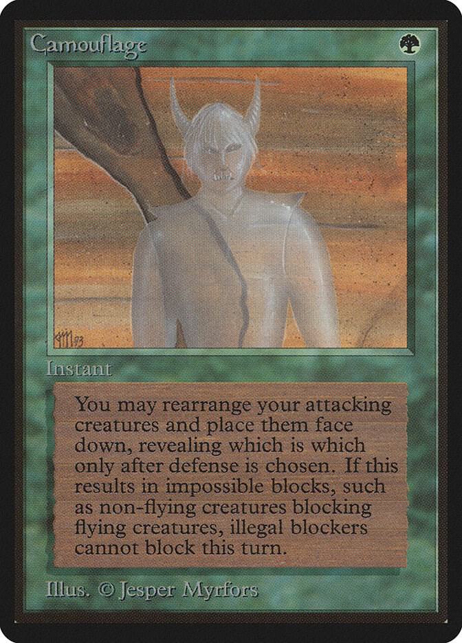 Camouflage card image