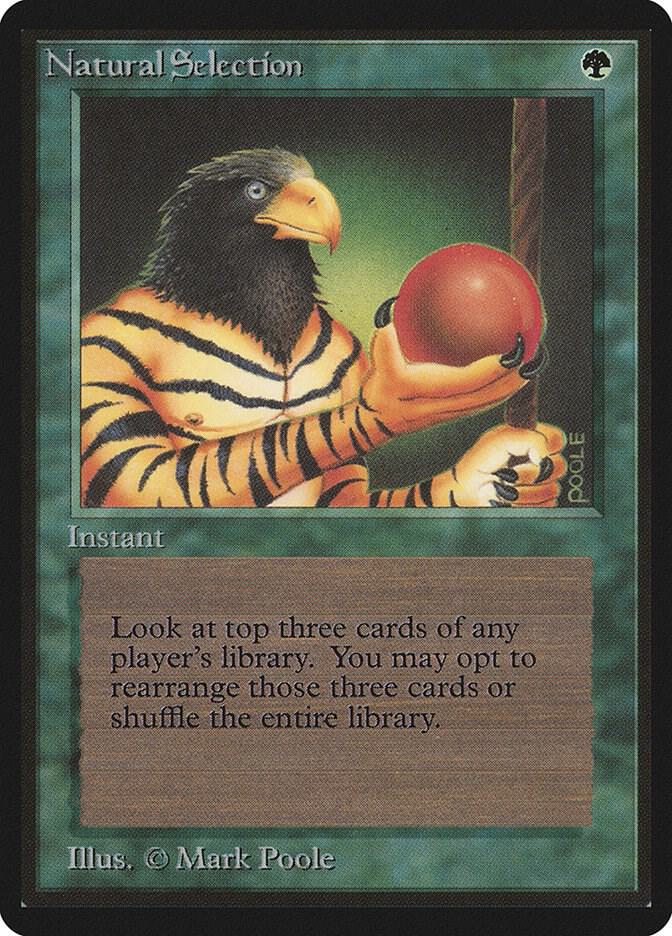 Natural Selection card image