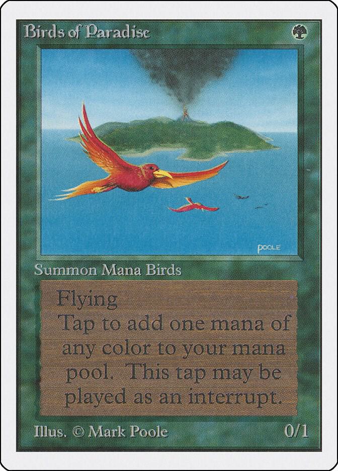 Birds of Paradise card image
