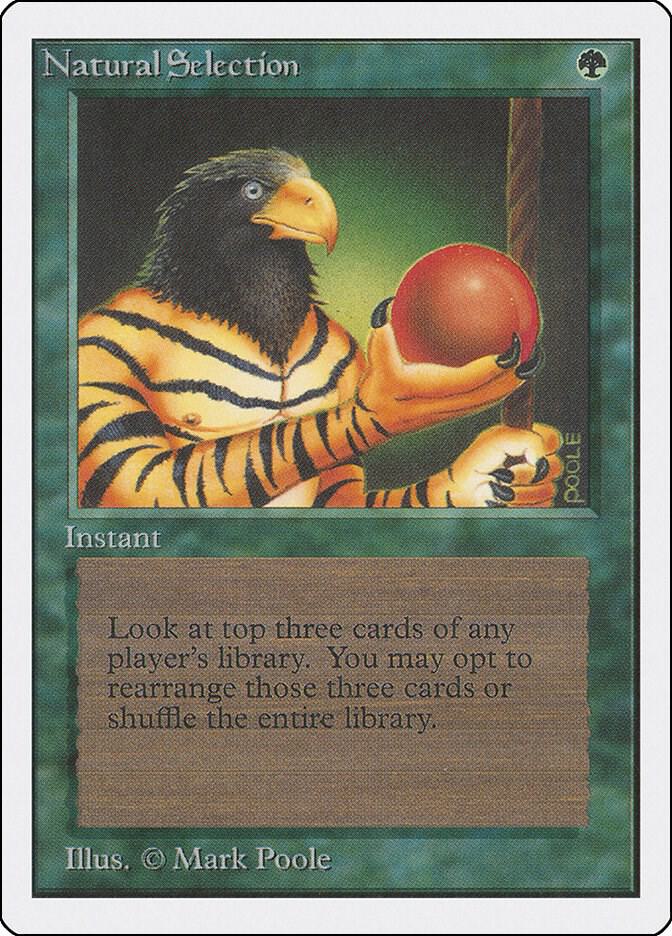 Natural Selection card image