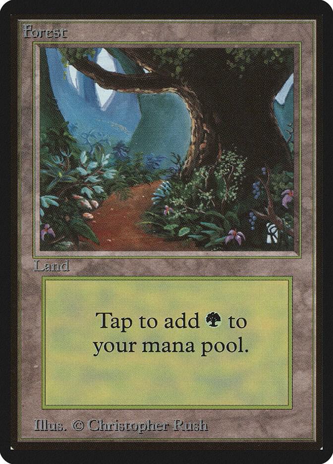 Forest (B) card image