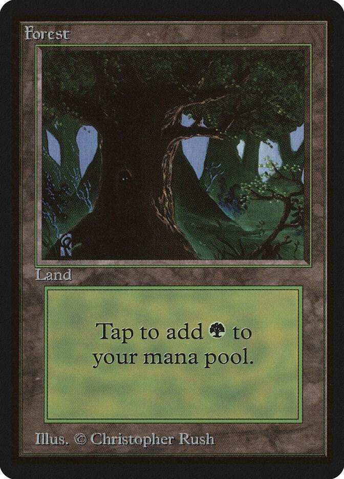 Forest (C) card image