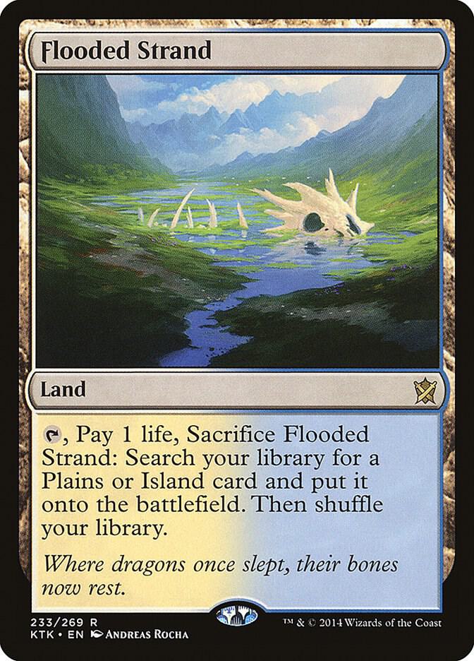 Flooded Strand card image
