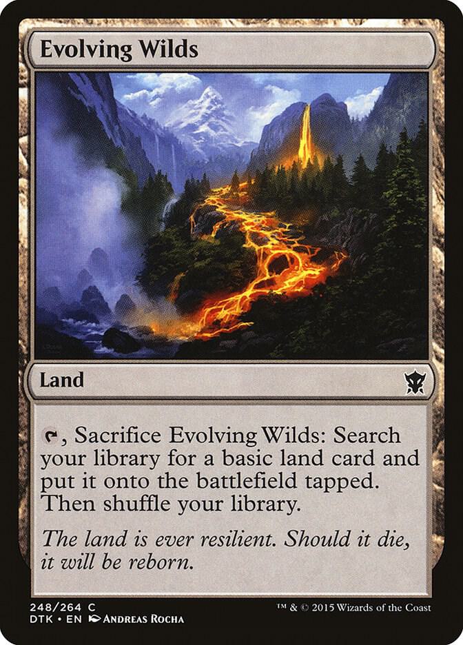 Evolving Wilds card image