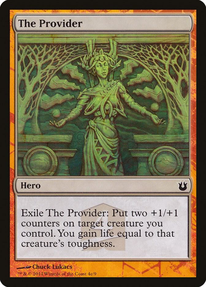 The Provider card image