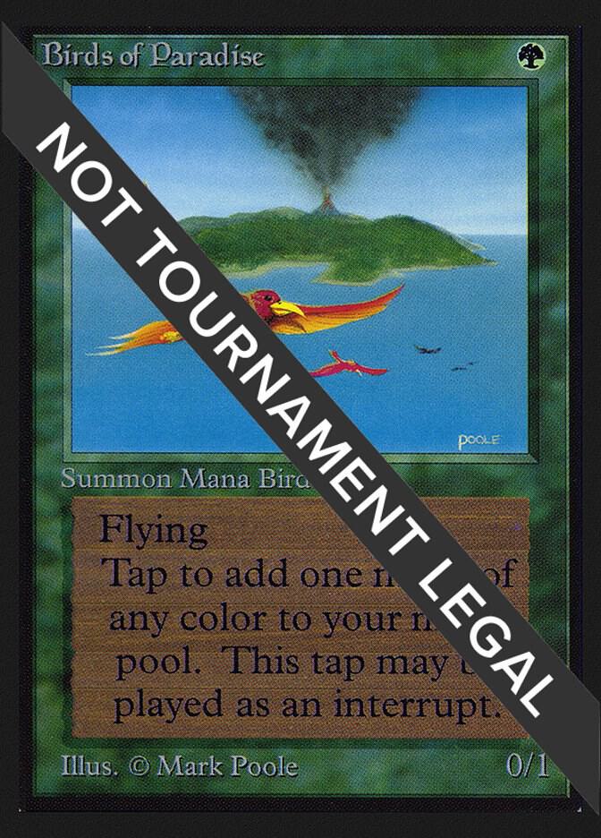 Birds of Paradise (IE) card image
