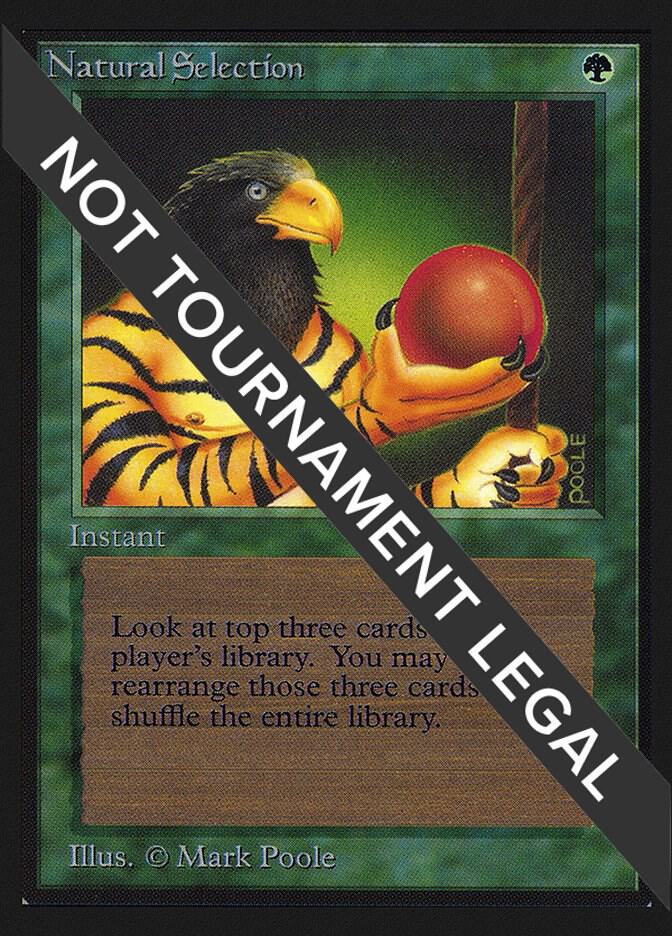 Natural Selection (IE) card image