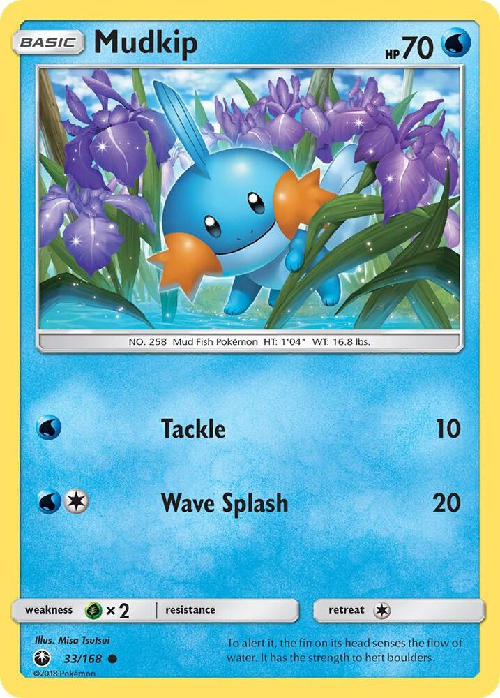 Mudkip (33) card image