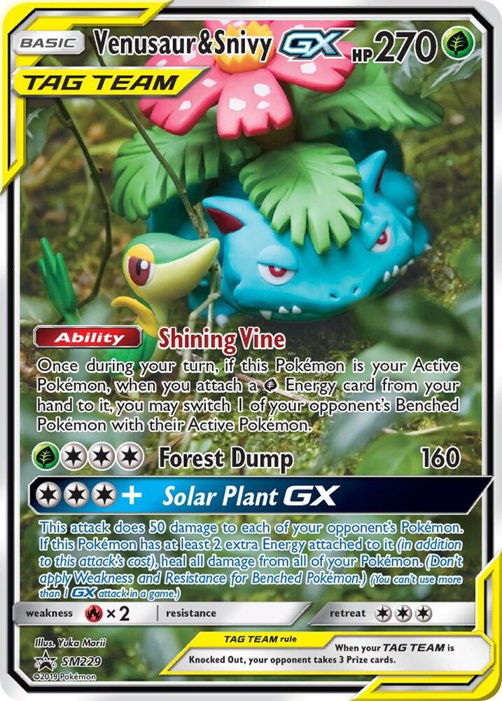 Venusaur & Snivy GX - SM229 card image