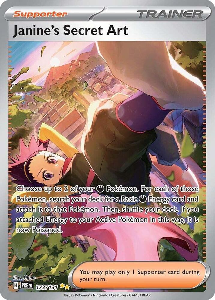 Janine's Secret Art - 173/131 card image