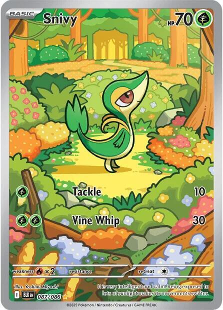 Snivy - 087/086 card image