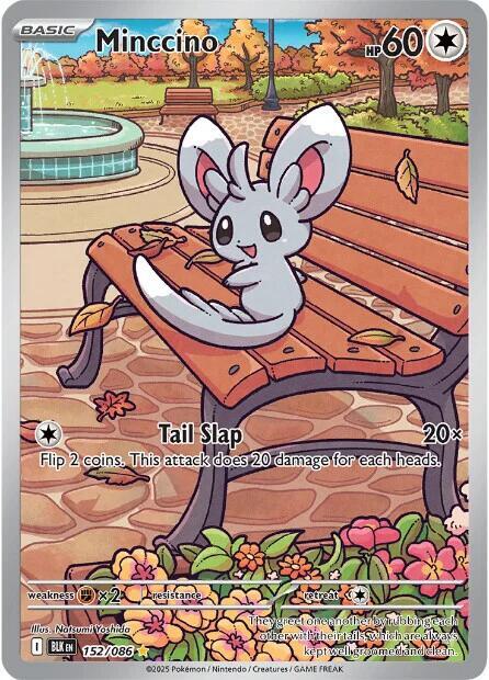 Minccino - 152/086 card image