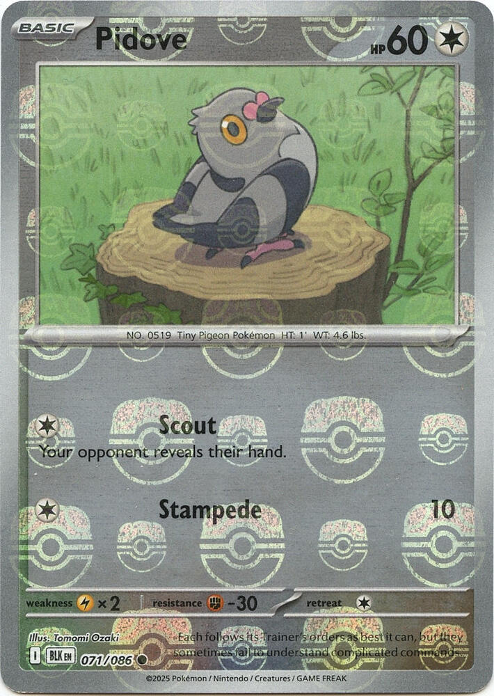 Pidove (Master Ball Pattern) card image